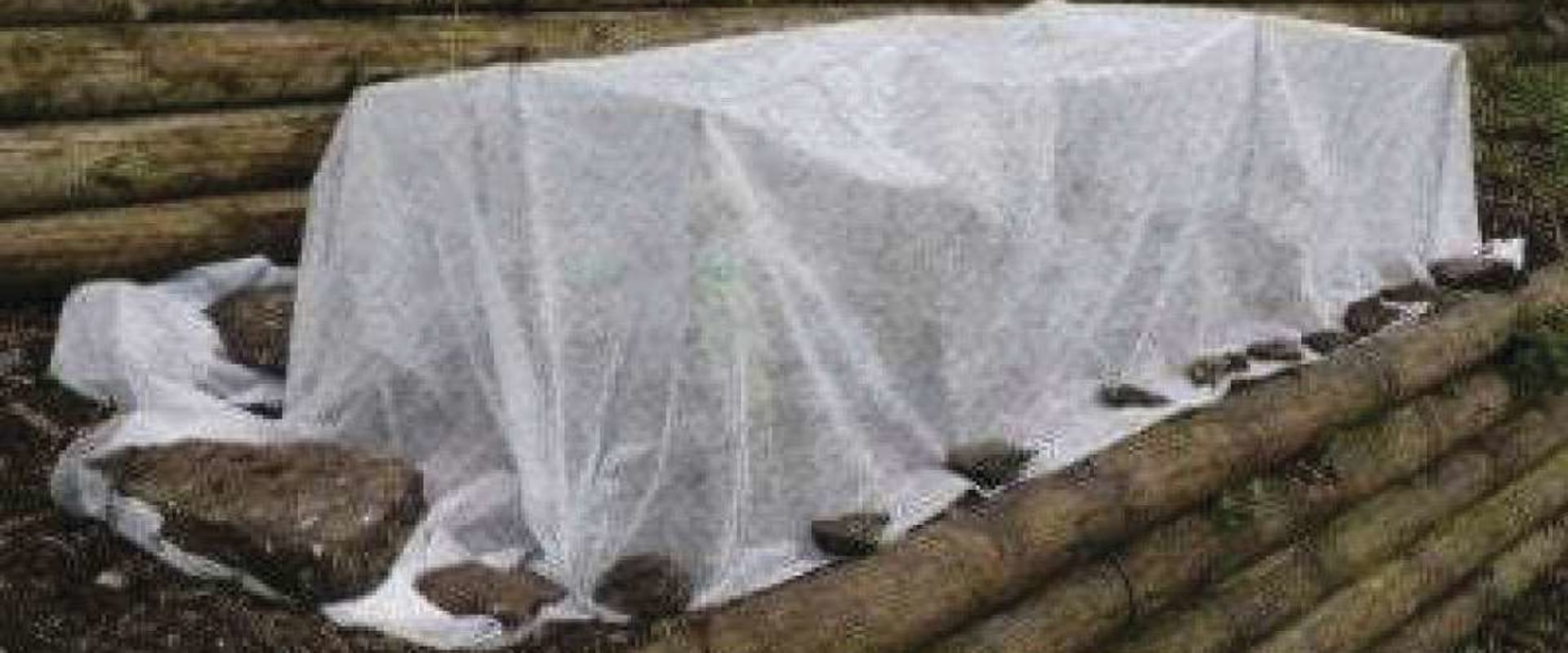 Protecting Your Garden from Extreme Weather in Conroe, Texas