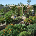 Gardening in Conroe, Texas: Overcoming Unique Challenges