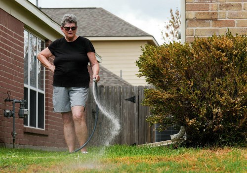 How Often Should You Water Your Garden in Conroe, Texas?