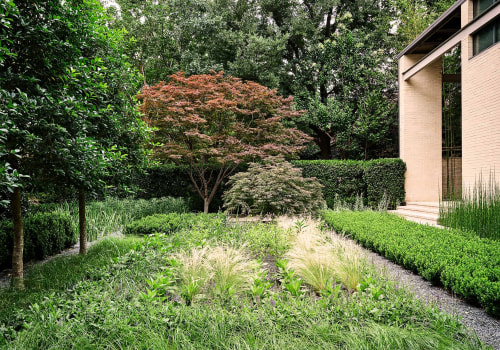 Creating a Visually Appealing Garden in Conroe, Texas